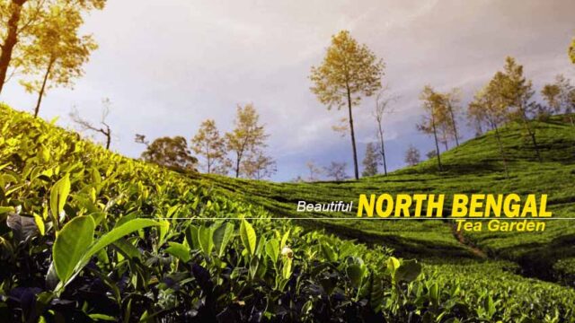 north-bengal-tour-packages