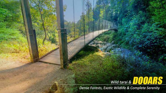 dooars-package-tour-from-kolkata