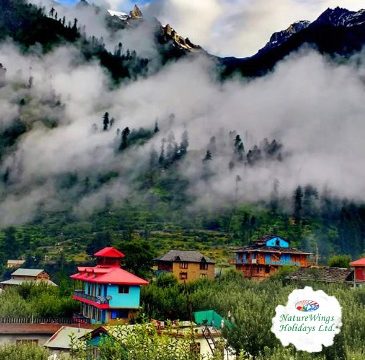 himachal-pradesh-tour-package