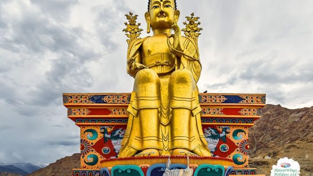 ladakh-trip