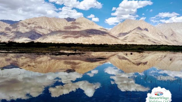 leh-ladakh