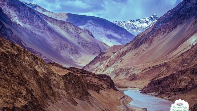 leh-ladakh-package